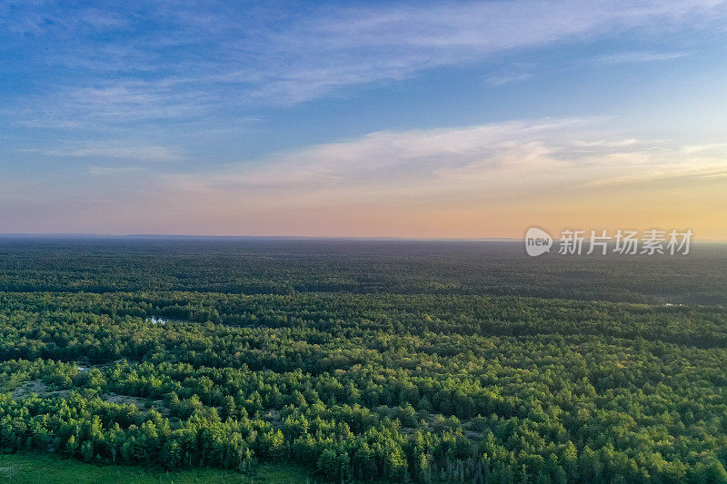 黄昏时的Muskoka Torrance Barrens Dark-Sky保护区，Gravenhurst，加拿大